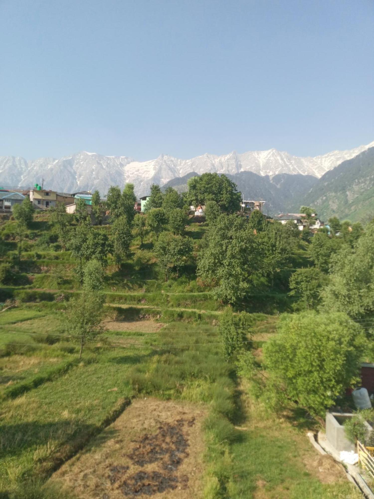 Nirmal Homestay Dharamshala Room photo